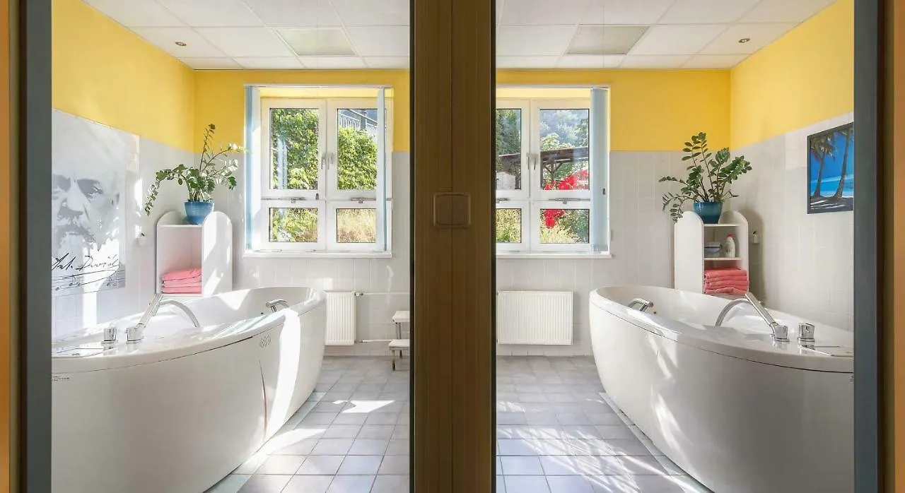 Dvorak Spa & Wellness Karlovy Vary Czech Republic