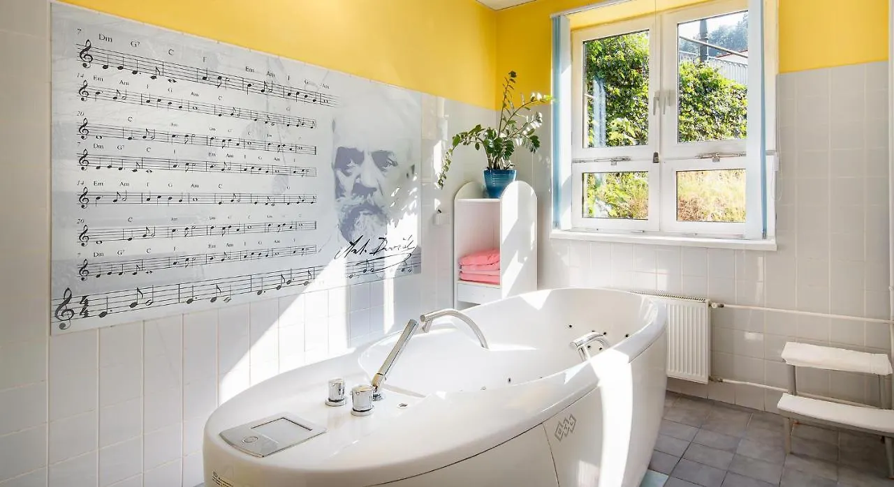Dvorak Spa & Wellness Karlovy Vary Hotel