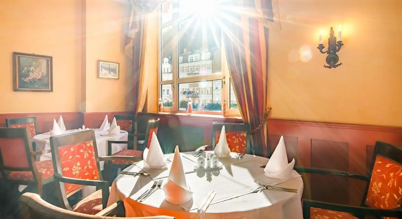 Dvorak Spa & Wellness Karlovy Vary Hotel
