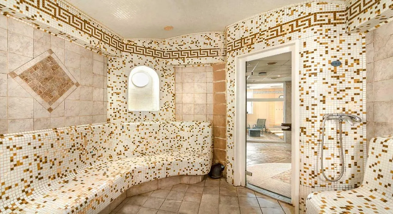 Dvorak Spa & Wellness Karlovy Vary 4*,