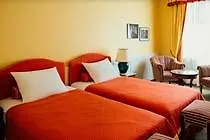 Dvorak Spa & Wellness Karlovy Vary 4*,